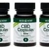 5% CBD capsules Raw Medihemp benefit package
