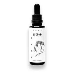 Chaga Pipettenflasche BIO 50ml Kaapa-Pilze