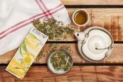 Dutch Harvest hennep thee Hemp Turmeric kurkuma thee