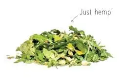 Dutch Harvest hennep thee simply just hemp