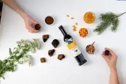 Chaga Health Elixir met Duindoornbessen