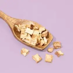 chicory organic coffee alternative