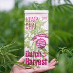Dutch Harvest Hemp Chaithee organisch bio