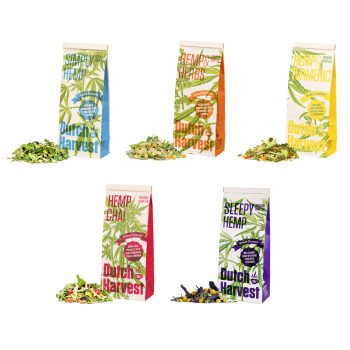 Pacote de 5 pacotes com desconto de chá de cânhamo para oferta da colheita holandesa