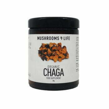 Chaga Paddenstoel Poeder Biologisch mushrooms4life Organic