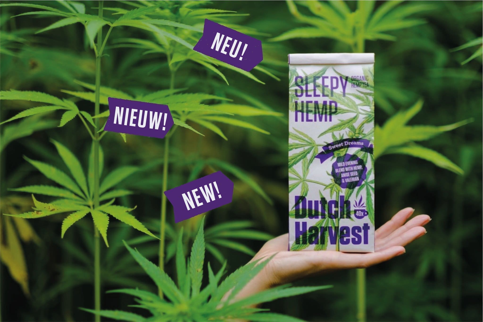 Dutch Harvest Sleepy Hemp Tea BIO 40g - Image 2