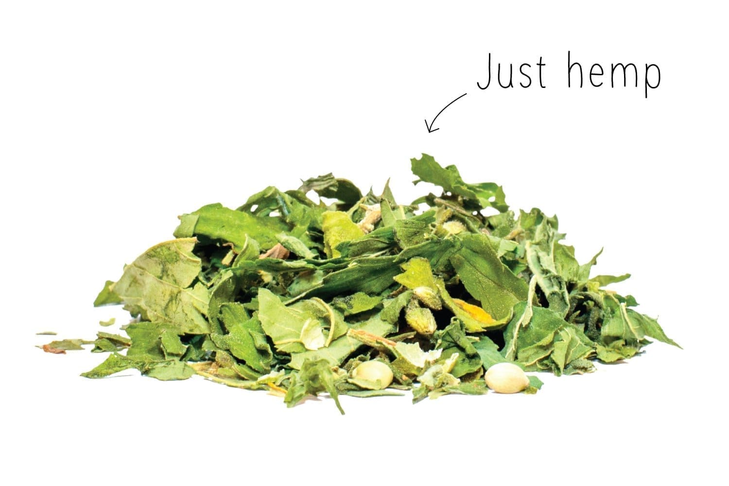 Dutch Harvest thé au chanvre simplement du chanvre