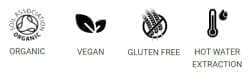 Bio-zertifizierter Pilz Latte Matcha vegan glutenfrei Heißwasserauszug