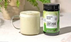 Löwenmähne Matcha Latte Bio Bio-Pilze für das Leben